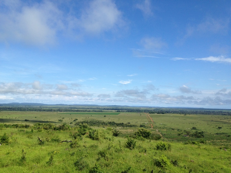 vista da torre da fazenda.