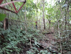 DSC00351