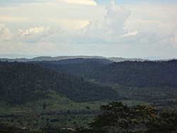 DSC00388