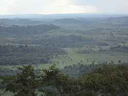 DSC00393