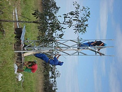DSC06620