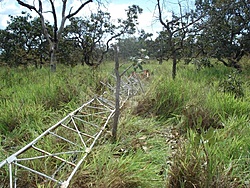 DSC06624