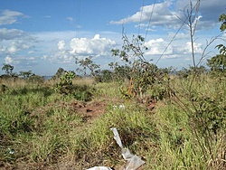 DSC06806
