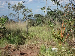 DSC06807