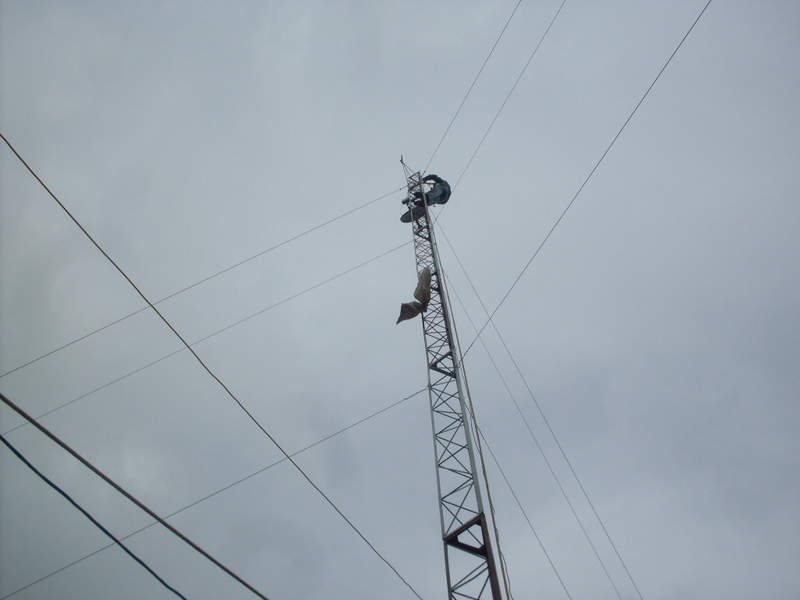 SDC17797