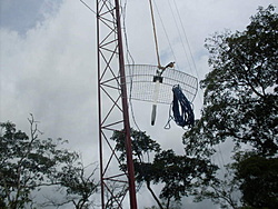SDC17798