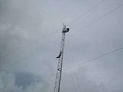 SDC17799