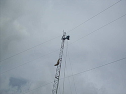 SDC17800