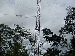 SDC17801