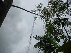 SDC17803