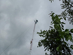 SDC17804