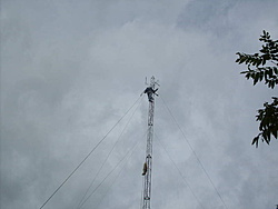 SDC17810