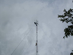 SDC17811