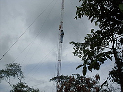 SDC17812