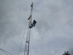 SDC17814