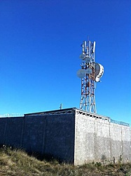 IMG 0066