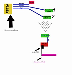 Clique na imagem para uma versão maior

Nome:	         Sem Título-1.jpg
Visualizações:	237
Tamanho: 	19,1 KB
ID:      	38295