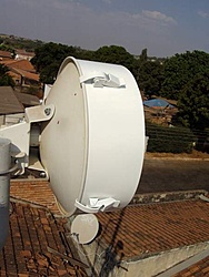 DSC07022