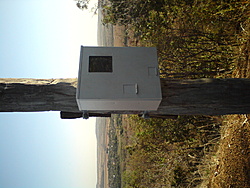 DSC03146