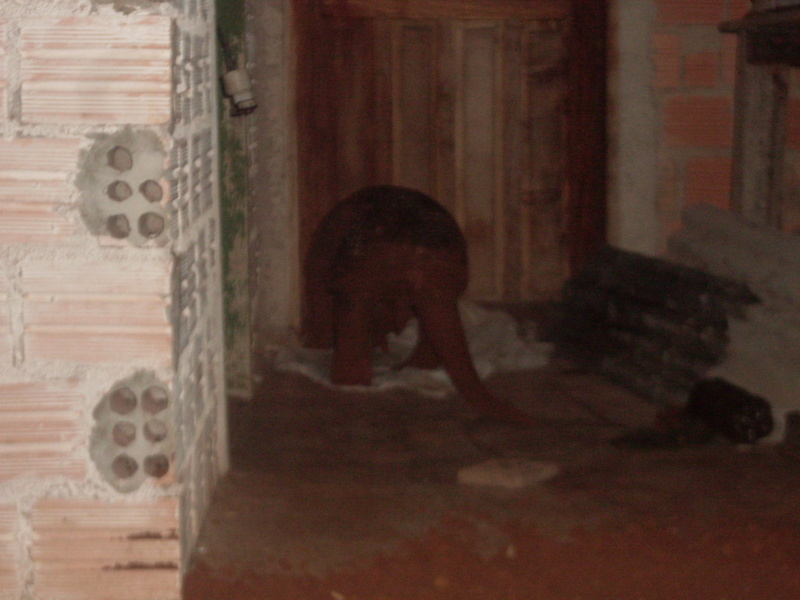 SDC18478