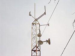 DSC07355