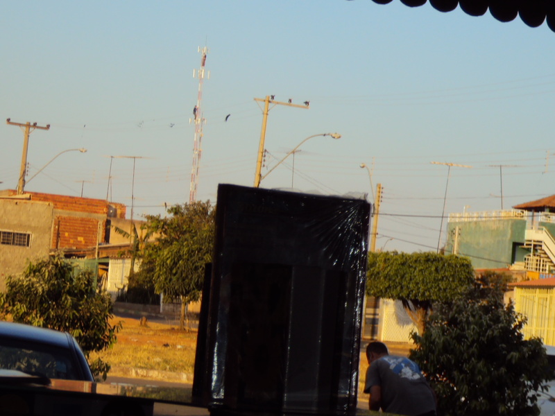 DSC07531