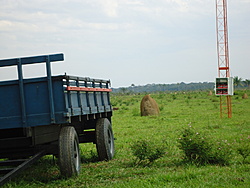 Clique na imagem para uma versão maior

Nome:	         DSC00129.jpg
Visualizações:	391
Tamanho: 	165,5 KB
ID:      	40515