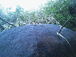 IMG 20121125 132421