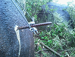 IMG 20121125 132413
