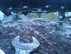 IMG 20121125 100523