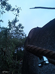 IMG 20121125 093739