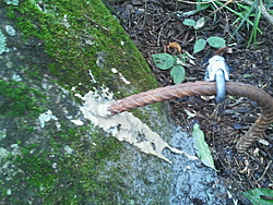 IMG 20121125 093634