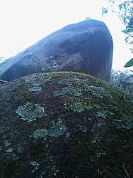 Clique na imagem para uma versão maior

Nome:	         IMG_20121125_093648.jpg
Visualizações:	287
Tamanho: 	119,0 KB
ID:      	40895