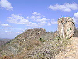 DSC04355