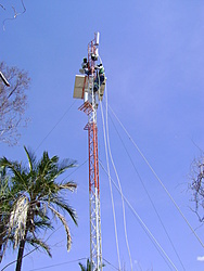 DSC04360