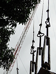 Clique na imagem para uma versão maior

Nome:	         DSC00837.jpg
Visualizações:	759
Tamanho: 	103,8 KB
ID:      	41545