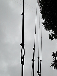 Clique na imagem para uma versão maior

Nome:	         DSC00838.jpg
Visualizações:	533
Tamanho: 	61,7 KB
ID:      	41546