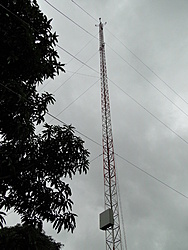 Clique na imagem para uma versão maior

Nome:	         DSC00840.jpg
Visualizações:	472
Tamanho: 	94,4 KB
ID:      	41548