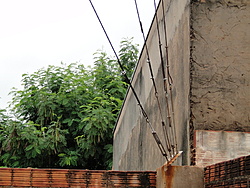 Clique na imagem para uma versão maior

Nome:	         DSC00843.jpg
Visualizações:	1182
Tamanho: 	212,5 KB
ID:      	41551