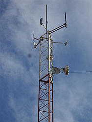 DSC07604