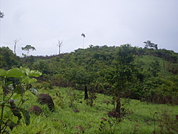 SDC18795