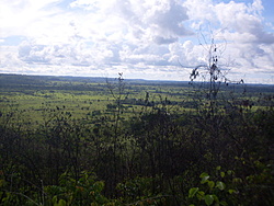 SDC18802