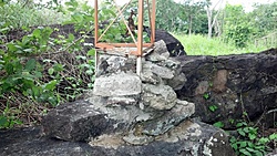 FEBRE PROVEDOR 01