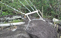FEBRE PROVEDOR 02