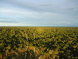 Clique na imagem para uma versão maior

Nome:	         DSC00302.jpg
Visualizações:	381
Tamanho: 	234,2 KB
ID:      	42362