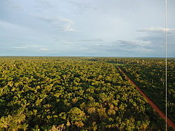 Clique na imagem para uma versão maior

Nome:	         DSC00303.jpg
Visualizações:	355
Tamanho: 	225,2 KB
ID:      	42363