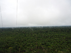 Clique na imagem para uma versão maior

Nome:	         Evaporacao no 180 - Sentido Humaita.jpg
Visualizações:	351
Tamanho: 	140,4 KB
ID:      	42377