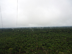 Clique na imagem para uma versão maior

Nome:	         Evaporacao no 180 - Sentido Humaita.jpg
Visualizações:	277
Tamanho: 	140,4 KB
ID:      	42377