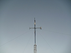 CIMG3269