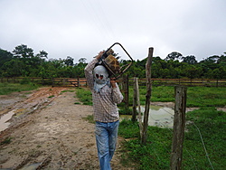 Clique na imagem para uma versão maior

Nome:	         DSC00557.jpg
Visualizações:	292
Tamanho: 	193,1 KB
ID:      	42819